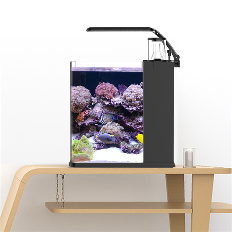 Skynuo Ultra Clear Glass Mini  - Marine Aquarium Cube review and price