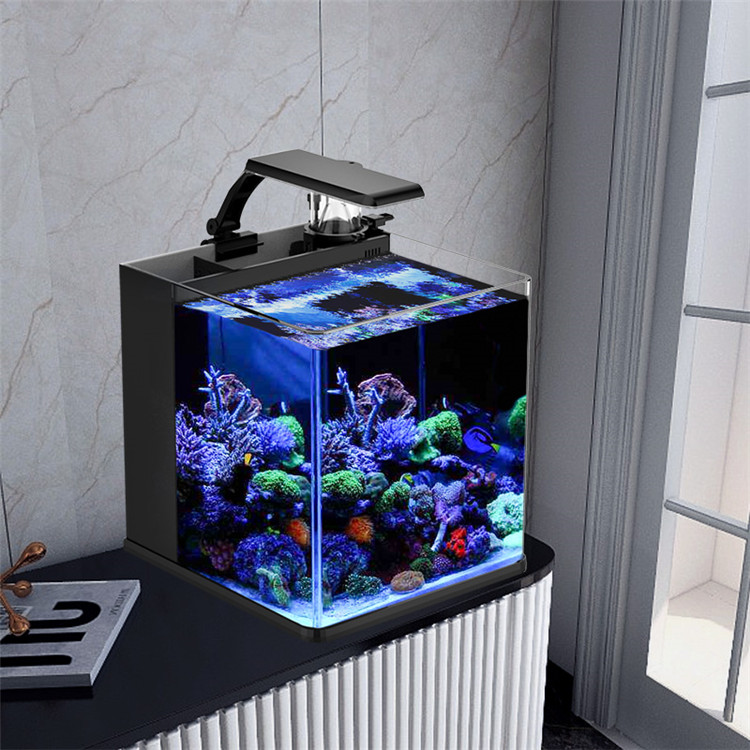 Skynuo Ultra Clear Glass Mini  - Marine Aquarium Cube review and price