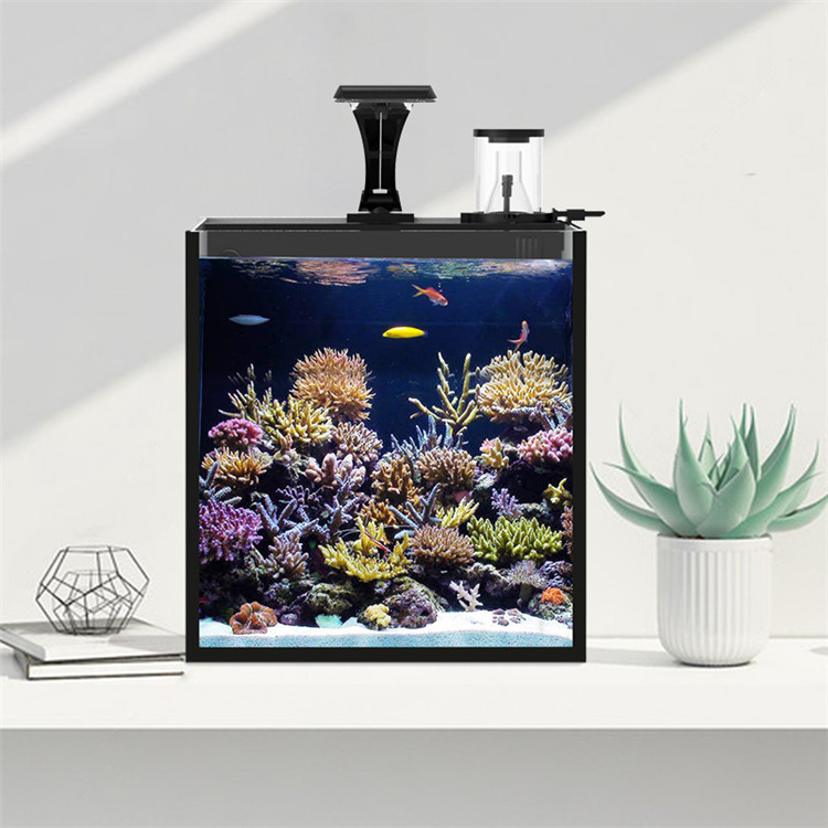 Skynuo Ultra Clear Glass Mini  - Marine Aquarium Cube review and price