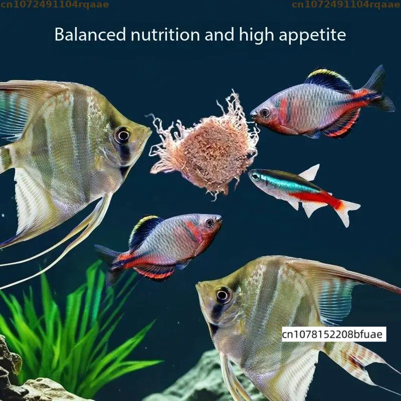Aquarium Fish Feeder Matching  - Marine Aquarium Cube review and price