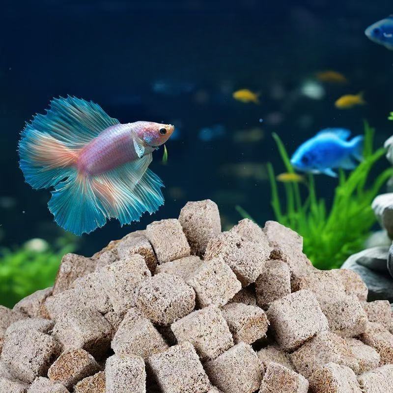 Natural Freeze Dried Bloodworm - Marine Aquarium Cube review and price