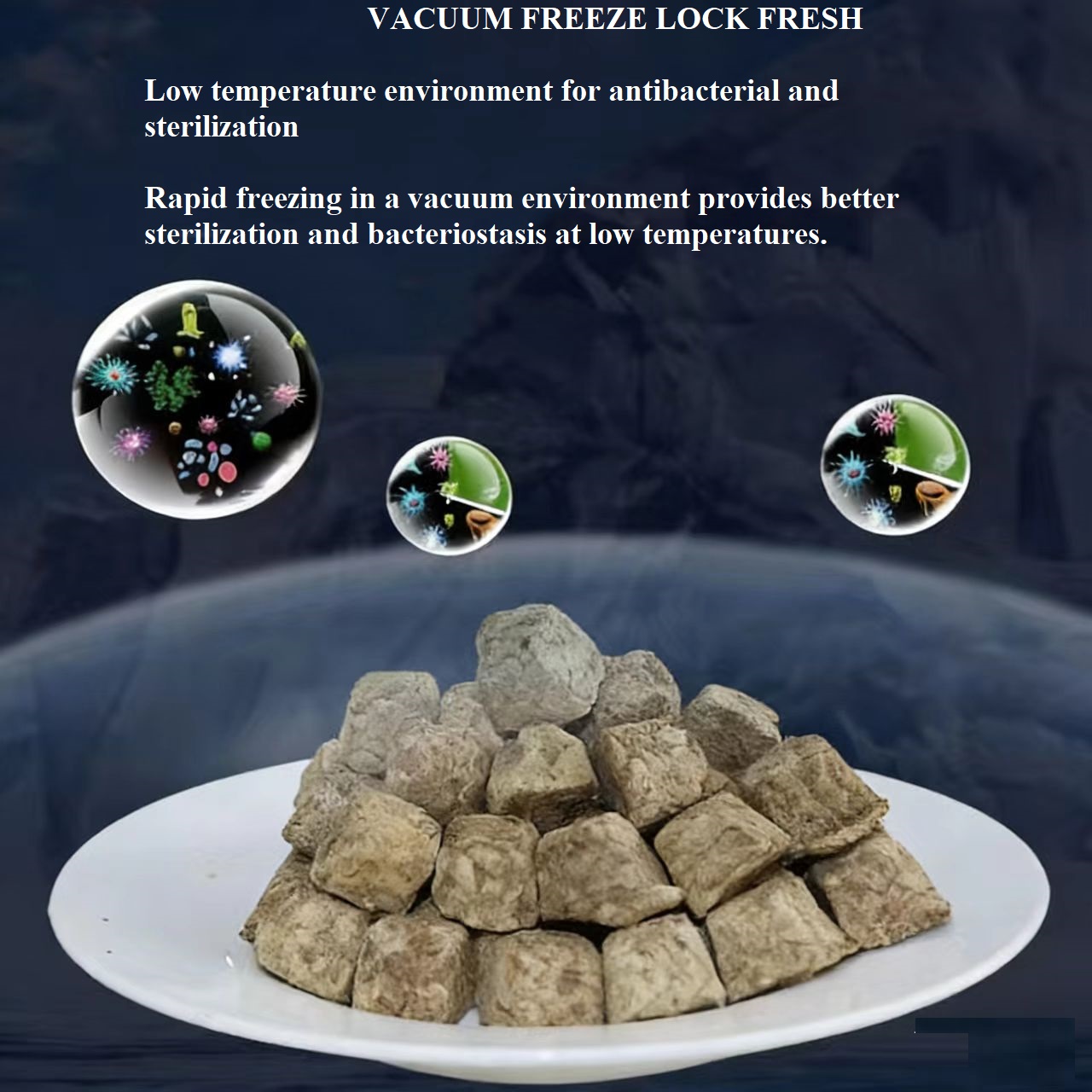 Natural Freeze Dried Artemia S - Marine Aquarium Cube review and price